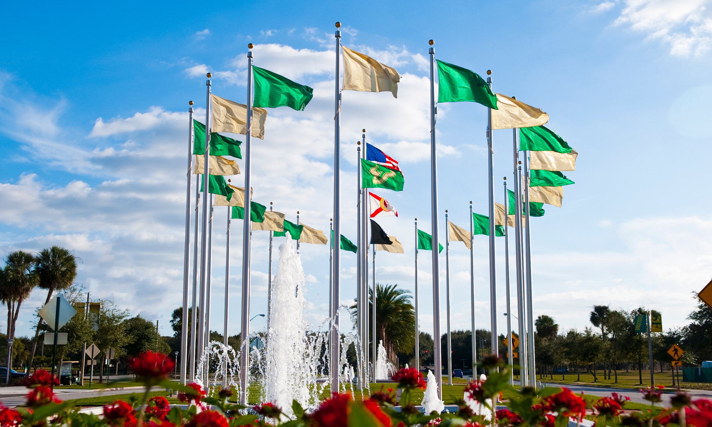 Explore USF | Freshmen | University Of South Florida